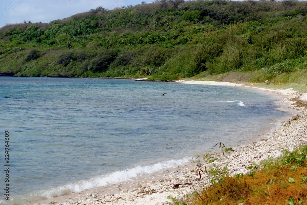 A view of the curved end of the rocky shorelines of Lau Lau Beach in San Vicente, Saipan bordered by lush vegetation A view of the curved end of the rocky shorelines of Lau Lau Beach in San Vicente, Saipan bordered by lush vegetation