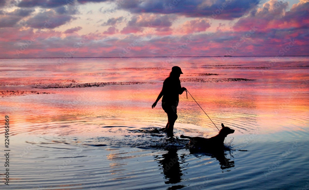 Silhouette of an unrecognizable woman and dog wading in the water at sunset
