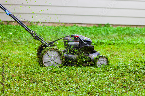 Push lawnmower in action with grass flying around/ Lawncare concept photo