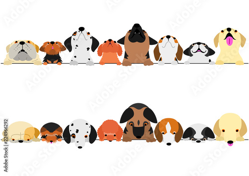 cute dogs looking up and down border set