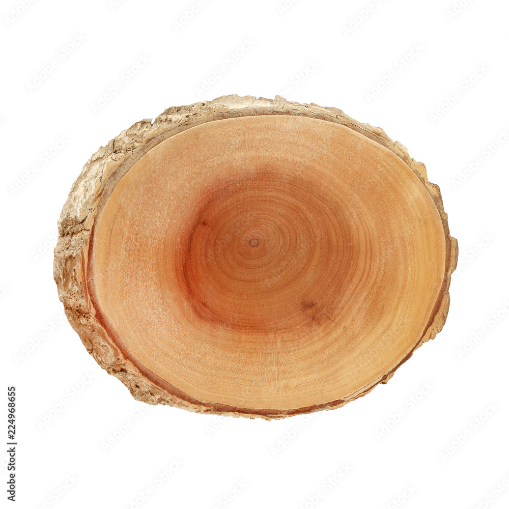 close-up wooden cut texture close-up wooden cut texture