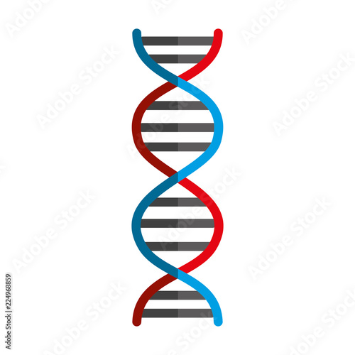 dna molecule isolated icon