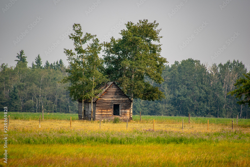Obraz premium Abandoned building in field