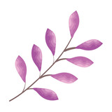 branch with leafs icon