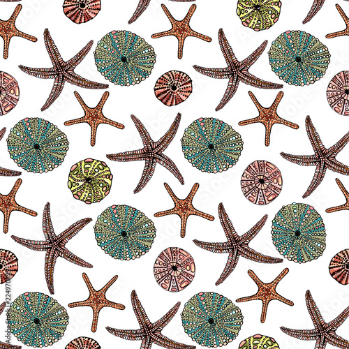 Seamless vector sea pattern. Seashell, various seashells, starfish