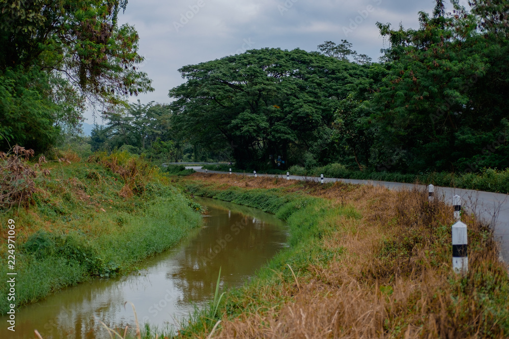 Obraz premium Beautiful nature in Chiang Mai, Thailand.