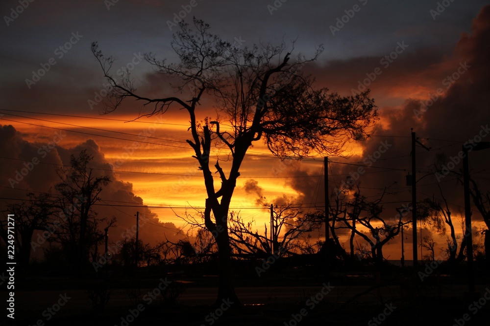 Fiery sunset amid the chaos and devastation left by a typhoon in a tropical island Fiery sunset amid the chaos and devastation left by a typhoon in a tropical island