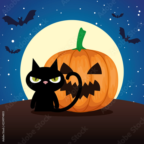 halloween black cat and pumpkin on night © Gstudio