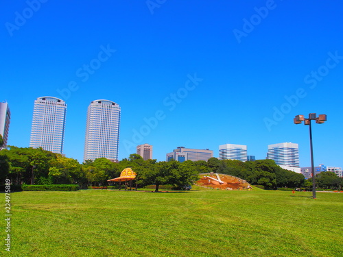 Kaihin Makuhari Park with the blue sky　 photo