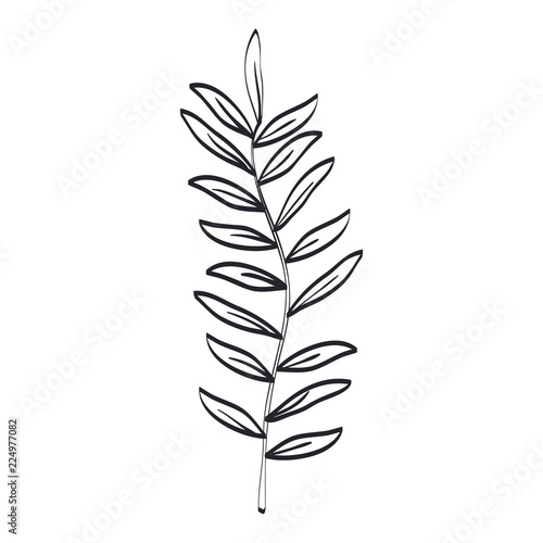 branch with leafs icon