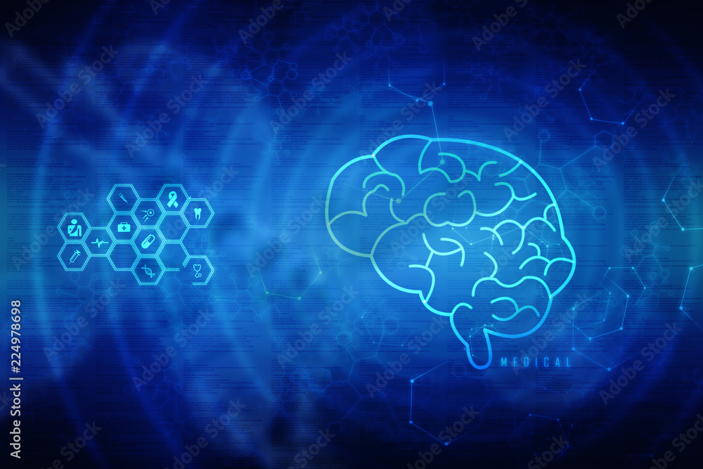Human brain 2d illustration Human brain 2d illustration