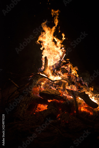 Burning branches of trees in the fire at night, close-up