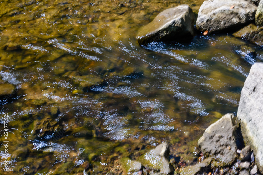 Small river in a forest on summer Small river in a forest on summer