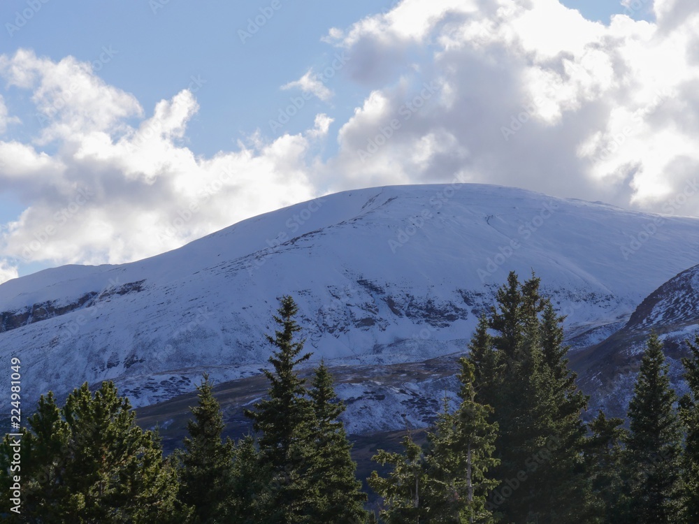 Close up of the snow-capped mountains in Breckenridge, Colorado, with green tree tops in the forground Close up of the snow-capped mountains in Breckenridge, Colorado, with green tree tops in the forground