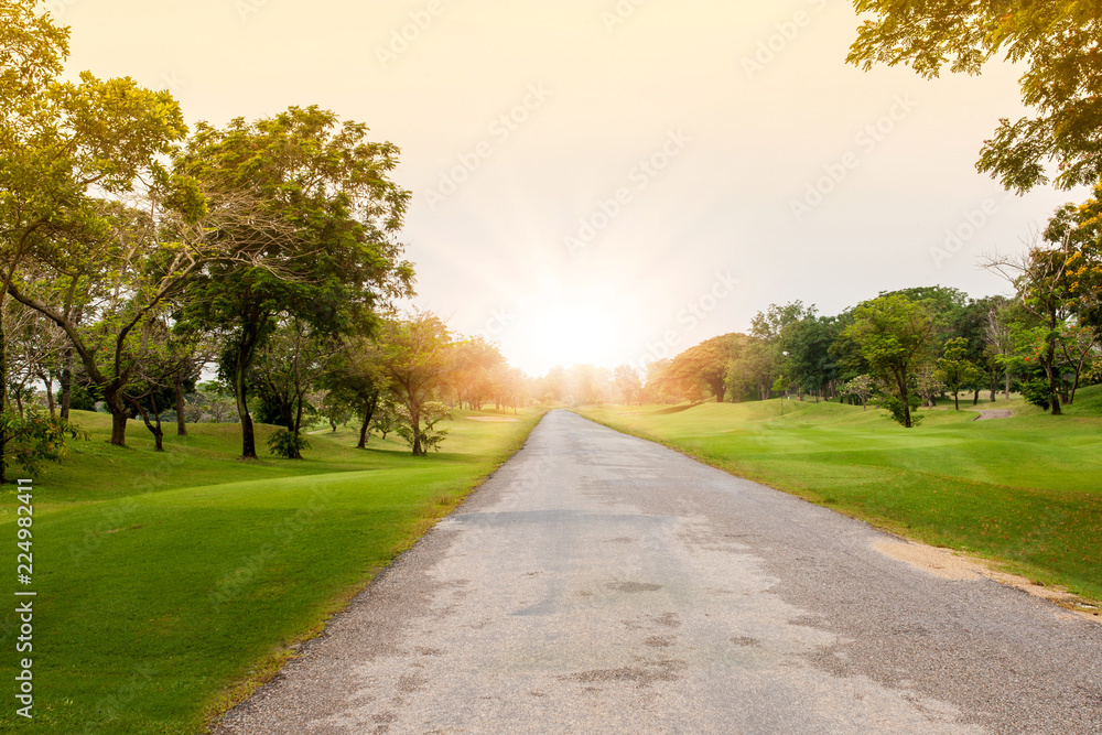 Empty street with comfortable great garden park and green grass field, green tree plant in morning time.