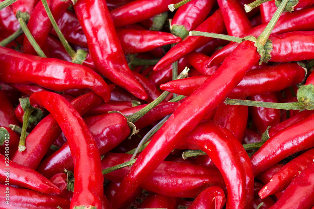 REDhot chili pepper