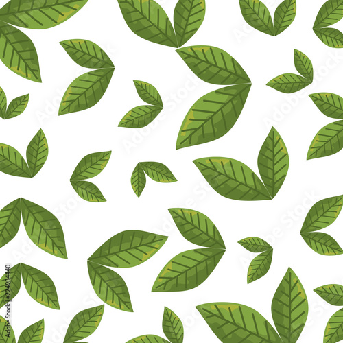 leafs plants ecology pattern background