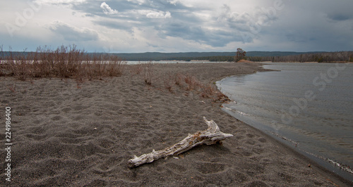 Driftwood stump log on shore of Yellowstone Lake in Yellowstone National Park in Wyoming United States