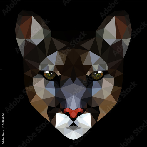 Low poly triangular cougar (puma) face on black background, symmetrical vector illustration EPS 10 isolated.  Polygonal style trendy modern logo design. Suitable for printing on a t-shirt.