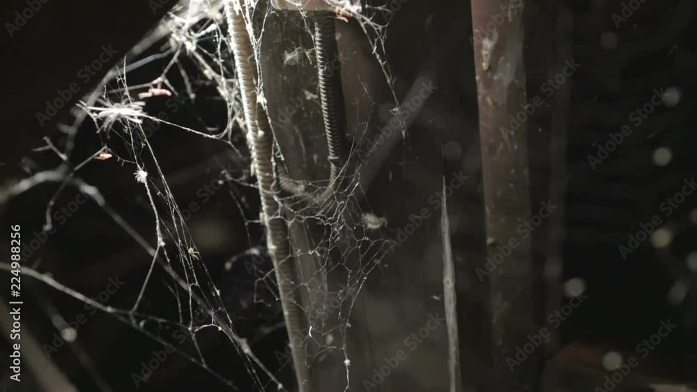 The spider on a cobweb during nighttime. The spider on a cobweb during nighttime.