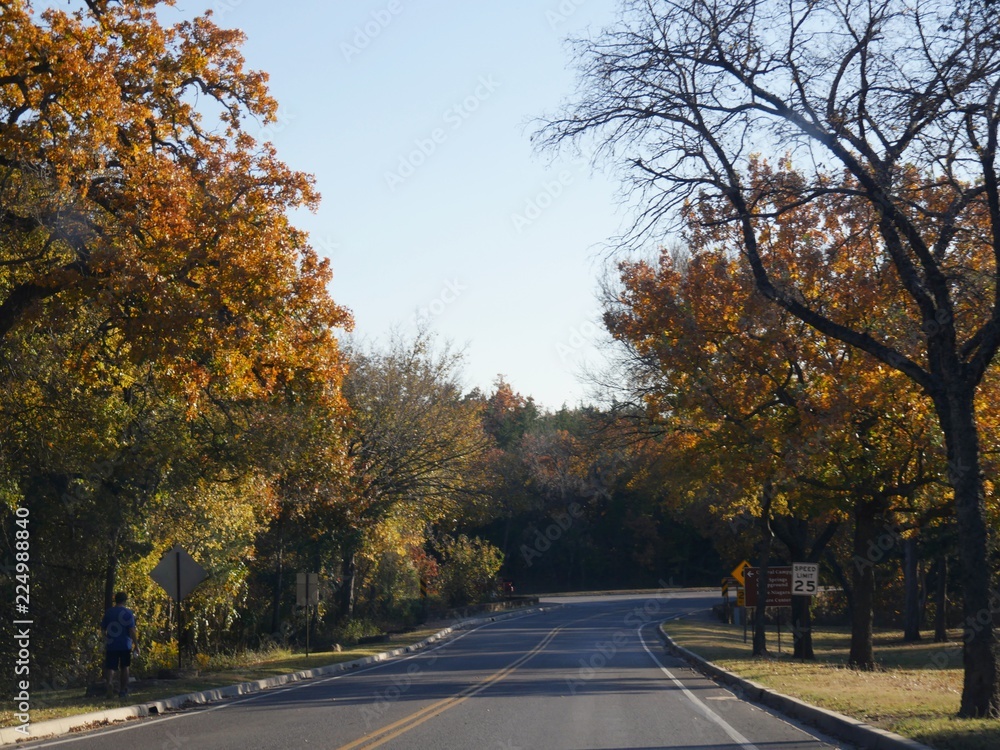 Colorful foliage by the roadsides in autumn