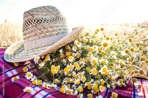 Fototapeta Naklejka Na Ścianę i Meble -  a bouquet of field daisies and a straw hat on a blanket. backlight. still-life