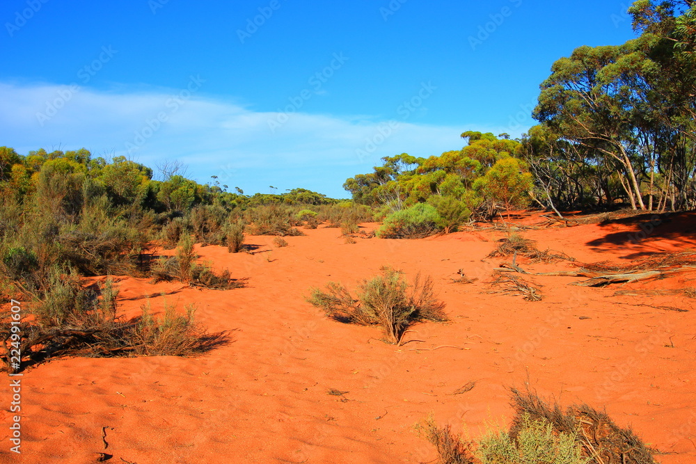 Remote Australian outback