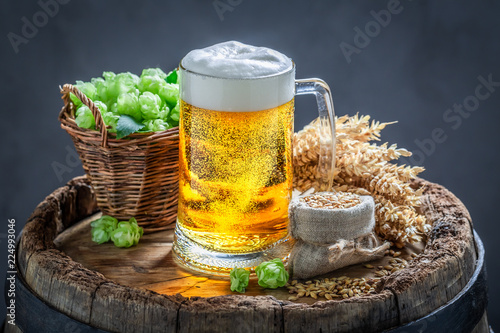 Cold pint of beer with foam, hops and wheat