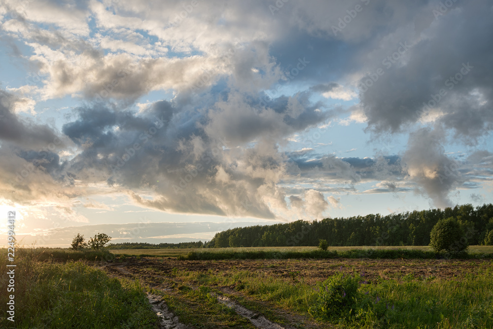 beautiful big clouds/ Clouds at sunset in a field after a rain