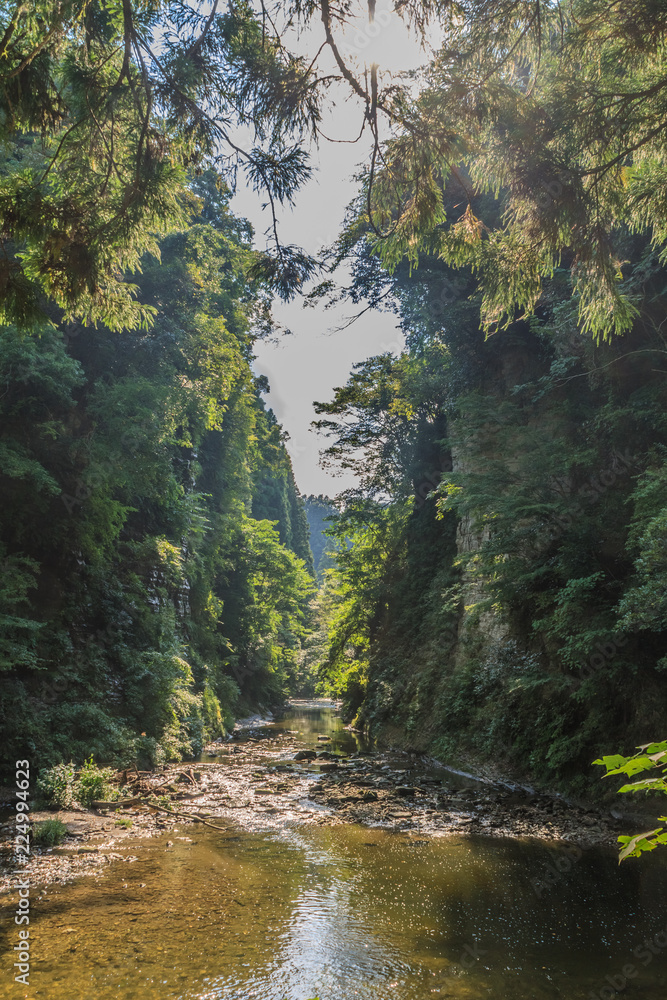 Obraz premium 夏の養老渓谷の弘文洞跡の風景