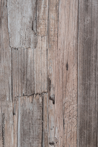 timber wood wall texture background photo