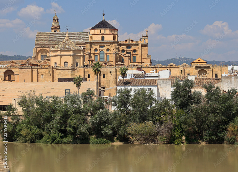 The Mosque–Cathedral of Córdoba, Spain 