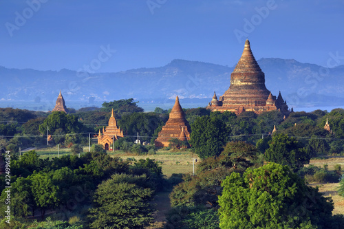 The land of thousand pagoda ancient  many ancient pagoda of bagan from shwesandaw temple in myanmar. The landmark tourism culture in Asian.