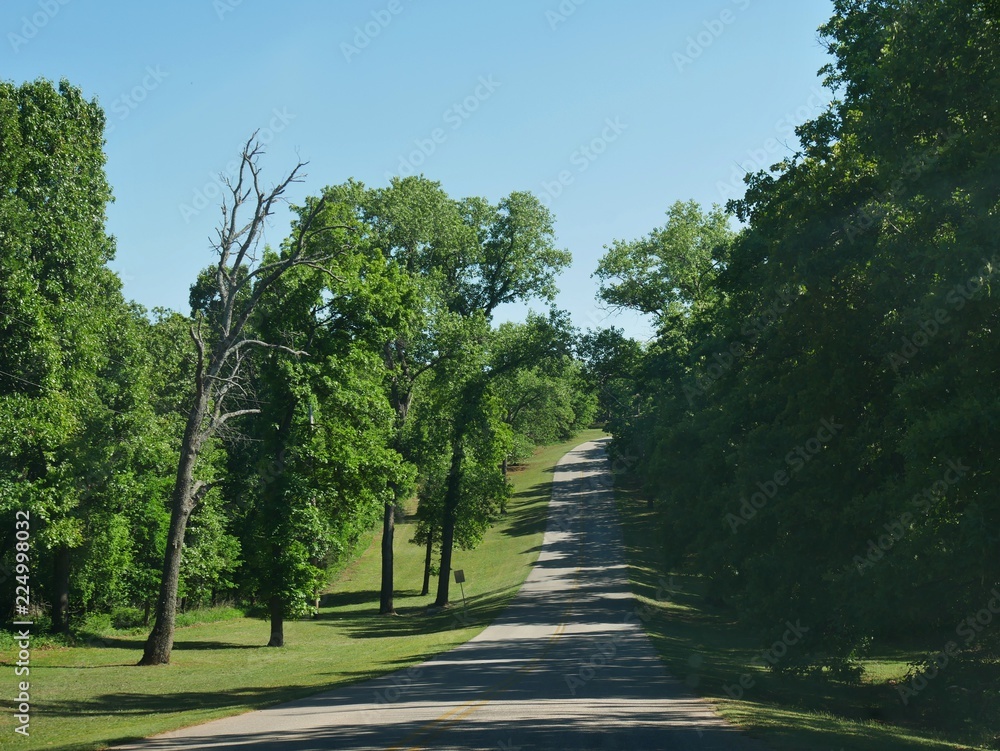 Lush trees and green carpets of grass along a paved uphill road 