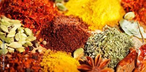 Spice. Various indian spices and herbs colorful background. Assortment of seasonings, condiments photo