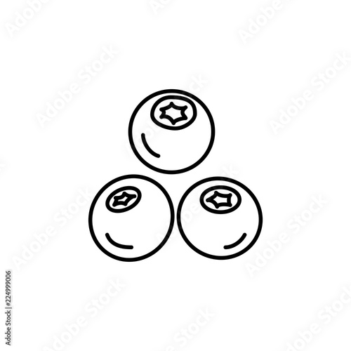 Black & white vector illustration of blueberry. Line icon of fresh berries. Vegan & vegetarian food. Health eating fruit ingredient. Isolated object