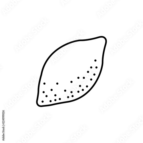 Black & white vector illustration of lemon fruit. Line icon of fresh citrus. Vegan & vegetarian food. Health eating ingredient. Isolated object on white background.