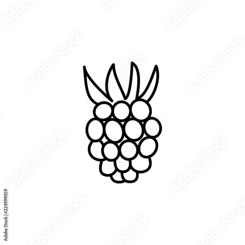 Black & white vector illustration of raspberry. Line icon of fresh berry with leaves. Vegan & vegetarian food. Health eating fruit ingredient. Isolated object