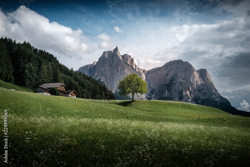 Sonnige Sommerlandschaft im Südtirol