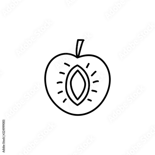 Black & white vector illustration of apricot. Line icon of fresh cut fruit with sead. Vegan & vegetarian food. Health eating ingredient. Isolated object