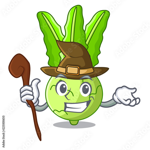 Witch cooking food fresh organic kohlrabi cartoon