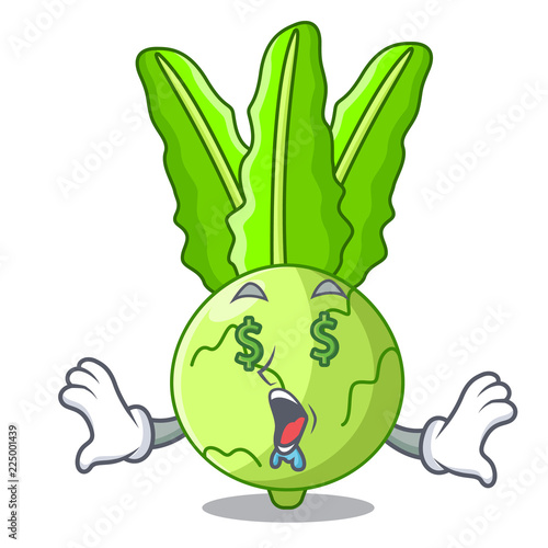Money eye fresh cabbage kohlrabi on the mascot