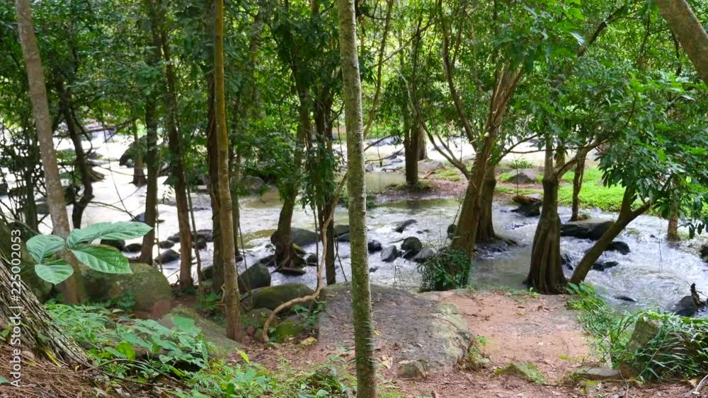 Waterfall in forest ,River Stream Waterfall in forest ,River Stream