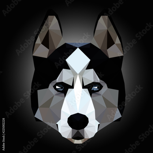 Low poly triangular husky dog face on dark background, symmetrical vector illustration isolated.  Polygonal style trendy modern logo design. Suitable for printing on a t-shirt.