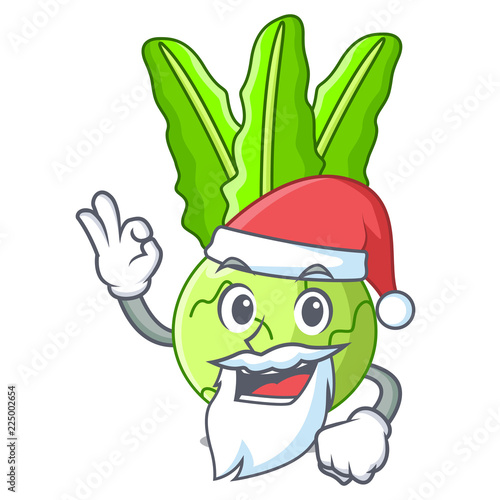 Santa fresh cabbage kohlrabi on the mascot