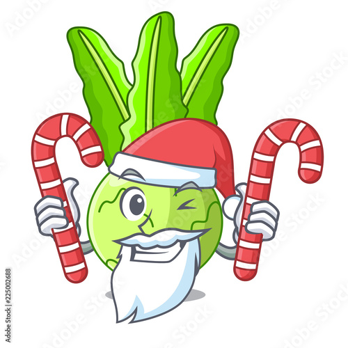 Santa with candy fresh cabbage kohlrabi on the mascot