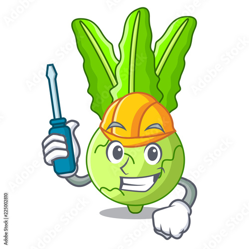 Automotive fresh cabbage kohlrabi on the mascot