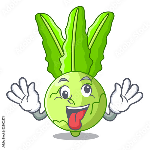 Crazy fresh cabbage kohlrabi on the mascot
