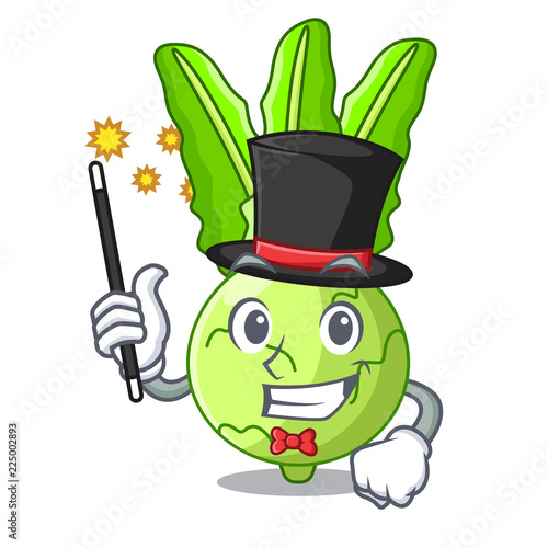 Magician fresh cabbage kohlrabi on the mascot
