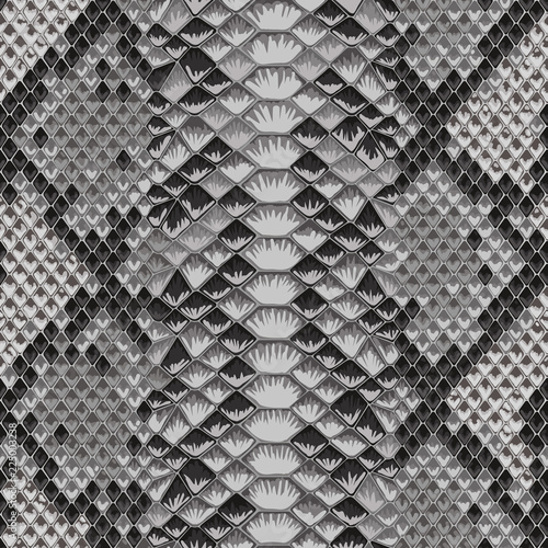 Snake Skin Colorful Animal Gray Seamless Pattern